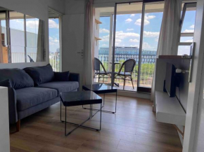 Agréable deux pièces avec loggia